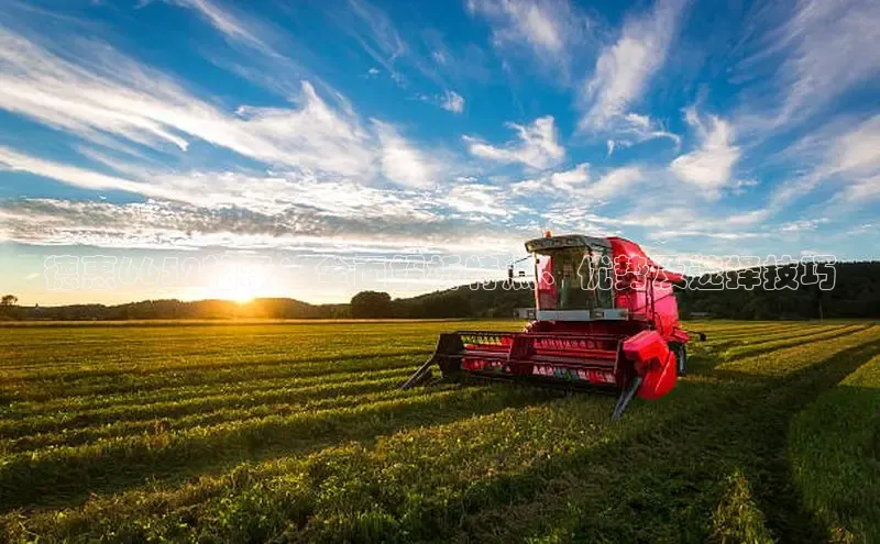 bob半岛·中国官方网站